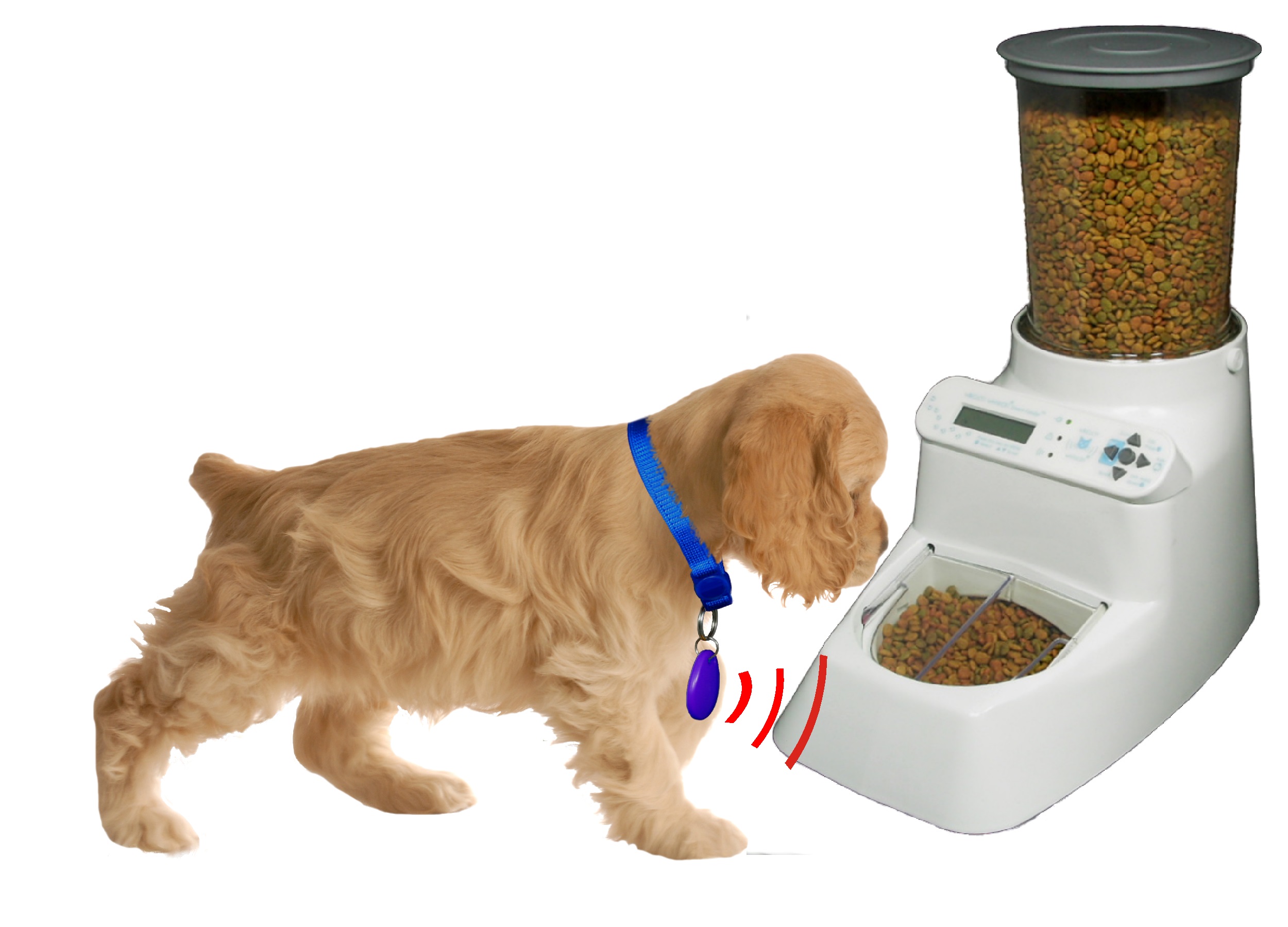 Wireless Whiskers® AutoDiet Feeder - Click Image to Close