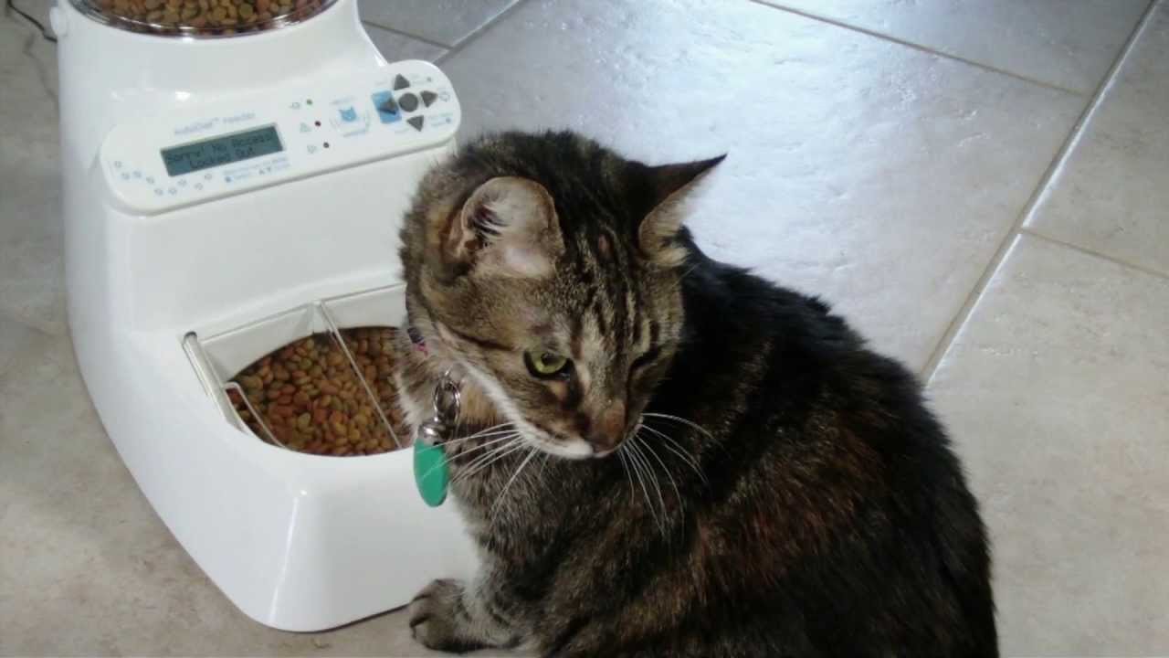 Wireless Whiskers® AutoDiet Feeder - Click Image to Close